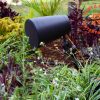 RA Audio Speaker With Ground Mount Bracket 5 Garden speaker