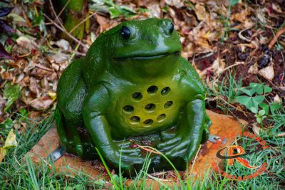 T20_1241 Frog garden speaker