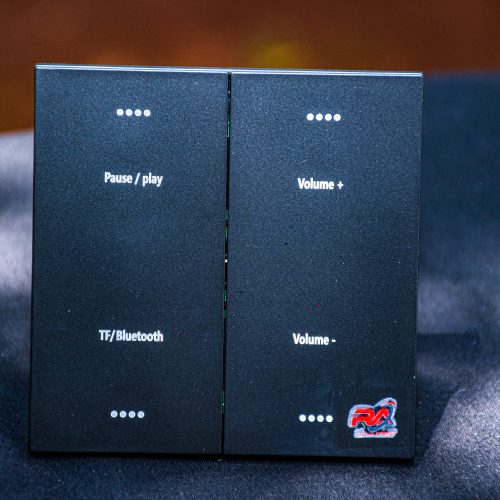 RA Audio Wall Amplifier Black BA-220DH RA Audio Wall Amplifier Black BA-220DH